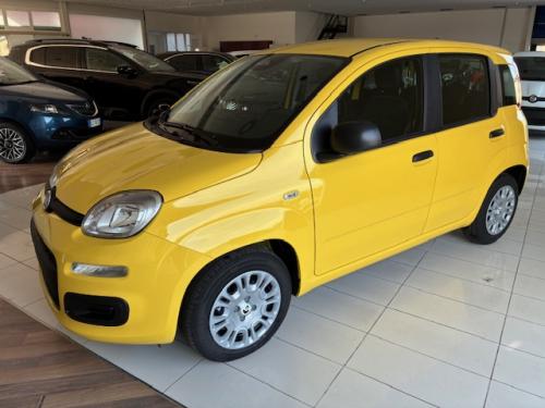 Fiat Panda 1.0 Hybrid 70 cv (giallo)